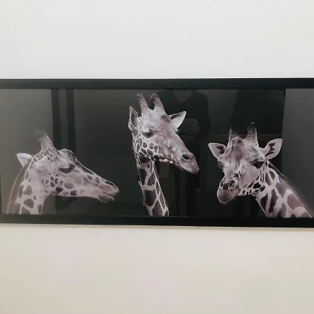 Le Gite De La Girafe Centre Ville Louviers Extérieur photo