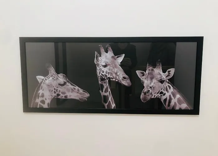 Le Gite De La Girafe Centre Ville Louviers
