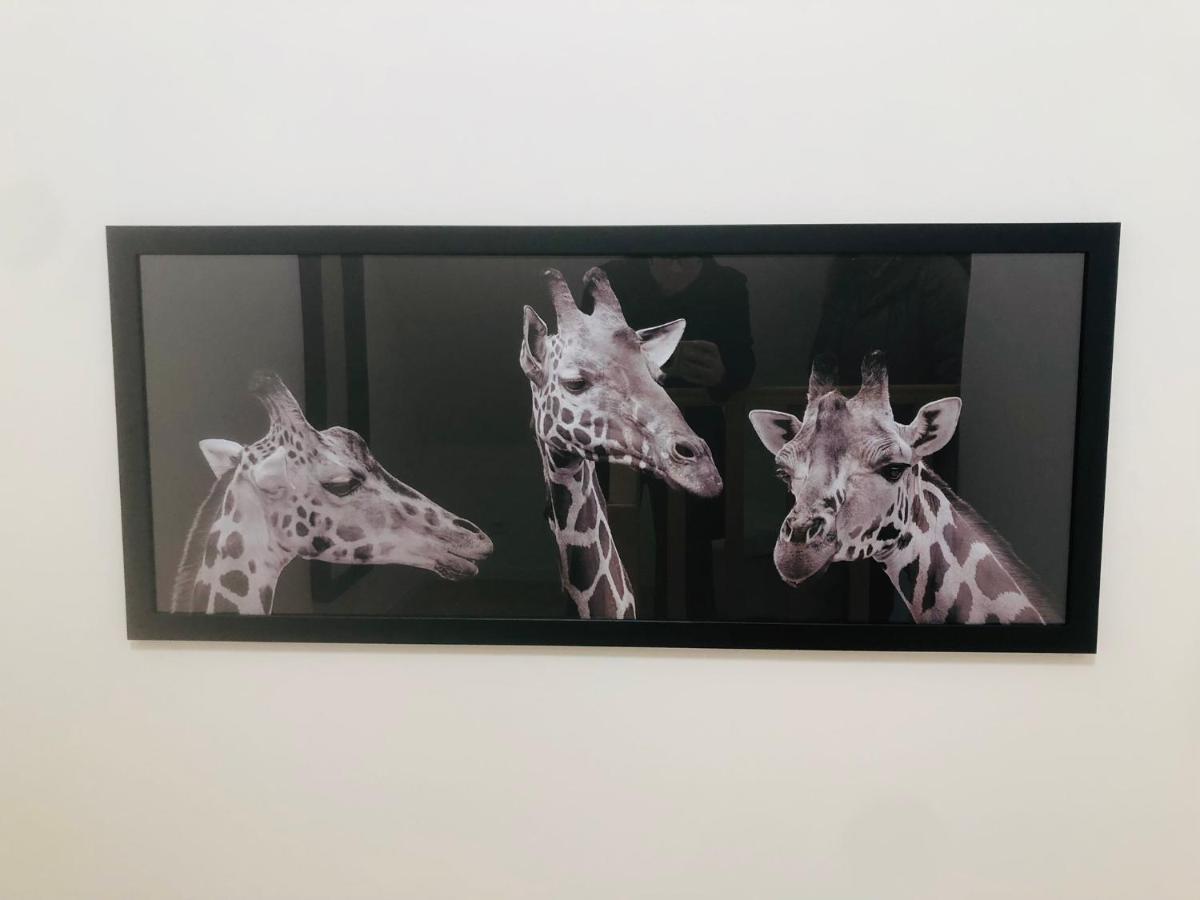 Le De La Girafe Centre Hébergement de vacances Louviers